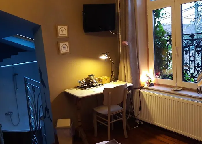 Bed & Breakfast Le Bonimenteur Charleroi