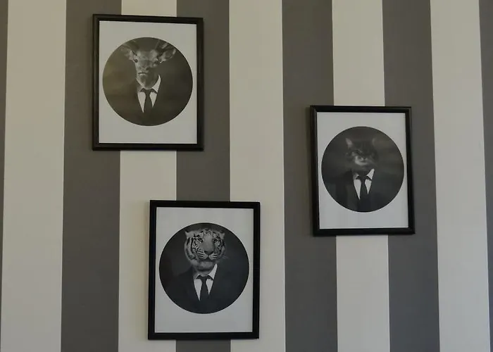 Le Bonimenteur Bed & Breakfast Charleroi